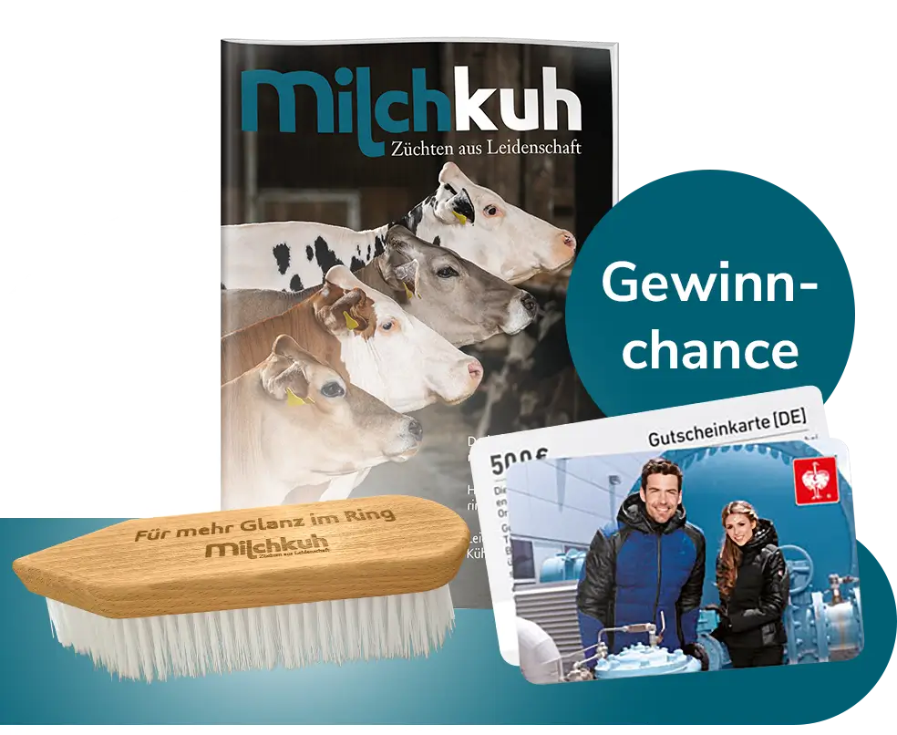 Cover, Kuh-Waschbürste mit leuchten in hintergrund und Einkaufsgutschein