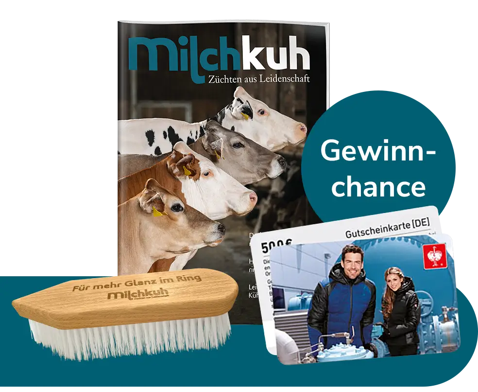 Cover, Kuh-Waschbürste und Einkaufsgutschein